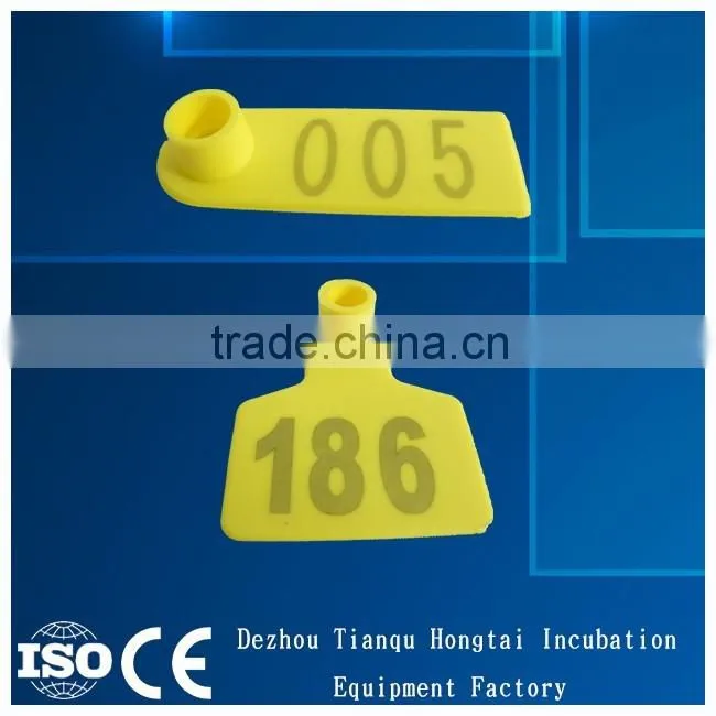 yellow ear tag