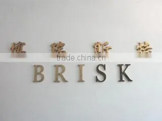 Shenzhen Brisk Technology Co., Ltd. company overview - view 3