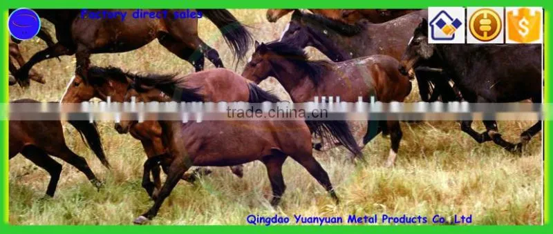 100% factory direct selling prices for wholesale racing horseshoe