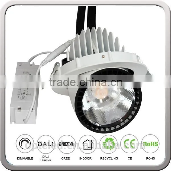 hot-selling European standard adjustable rotating cob down light 30w dimmable led shop downlight