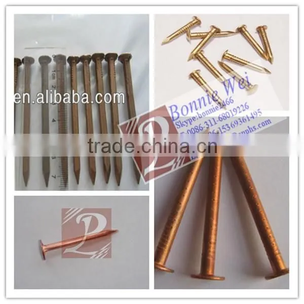 Ring shank copper nail head
