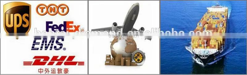 10'' 250mm diamond grinding plate