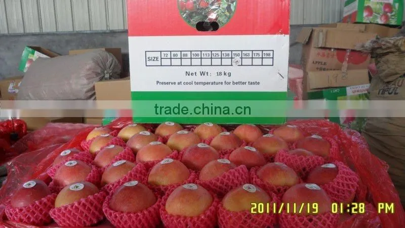 2011 delicious fuji apple