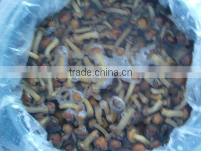 Vacuum boiled fresh eryngii mushroom in bags