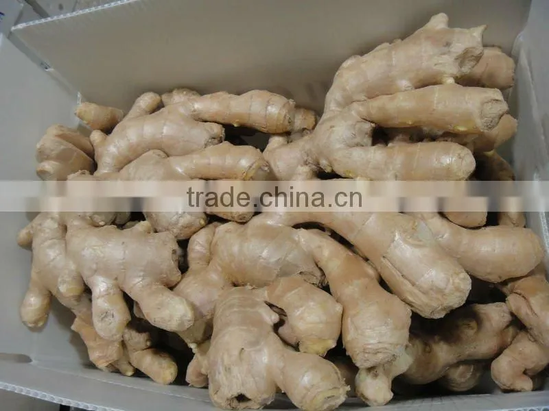Organic fresh ginger