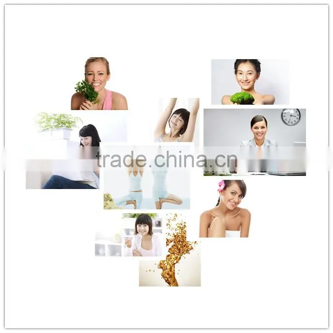 bulk healthcare Borage Seed Oil on sale
