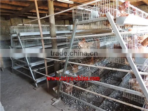 TAIYU Design Layer Chicken Cages In Kenya