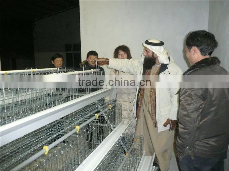 Hen Farm Equipment of galvanized bridge steel to Africa lagos