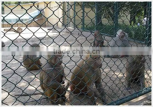 chain-link boundary security fencing(Anping)