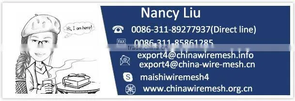 Stainless Steel Wire Mesh