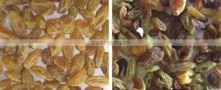 New Product Top Quality Cheap Price Led Light Raisin Color Sorter