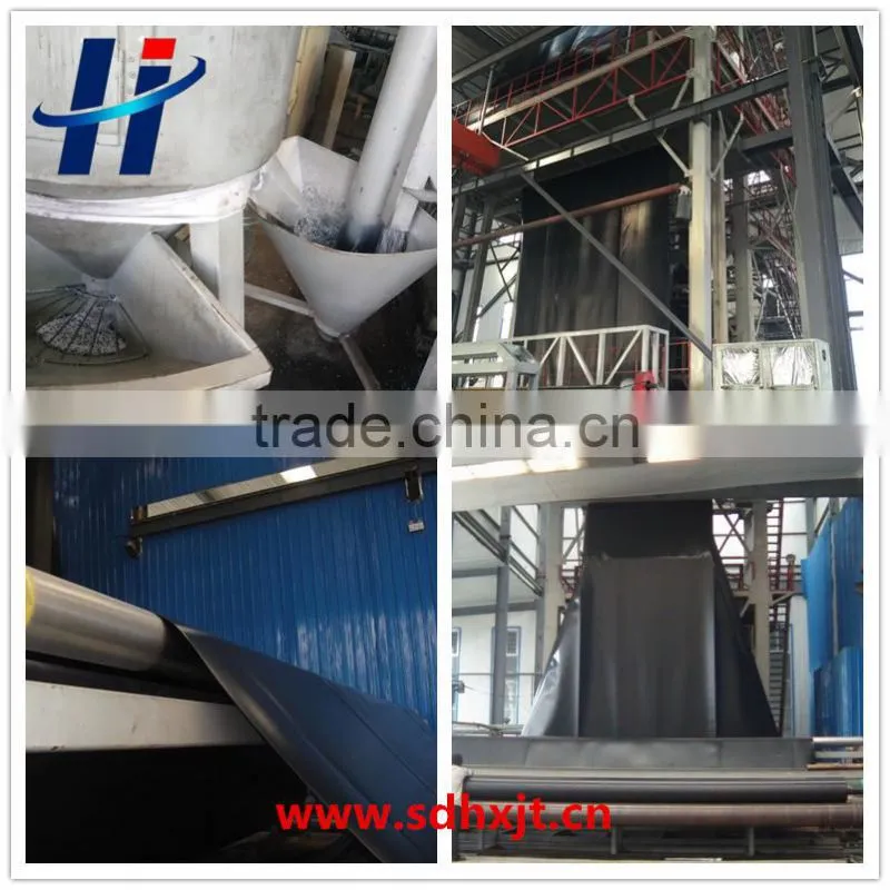 Municipal Engineering special high quality Geomembrane