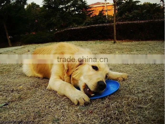 9 inch professional frisbee