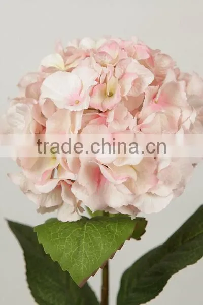 stable supplying high quality variegate color corn husks flowers