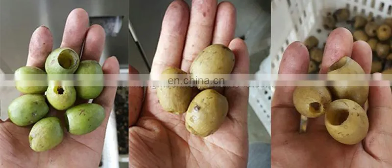 Date pitting machinery for olive fruit mini olive pit pitting and stuffing machine 2 years warranty