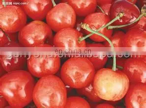 peach pitting and half cutting machine