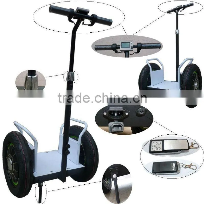 2013 new model with remote controller Zero-emission electric chariot(SKD-SG01,SKD-SG02)