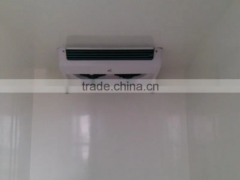 Hot Sale 12v24v Roof top mounted freezer cargo van refrigeration units for van body frozen