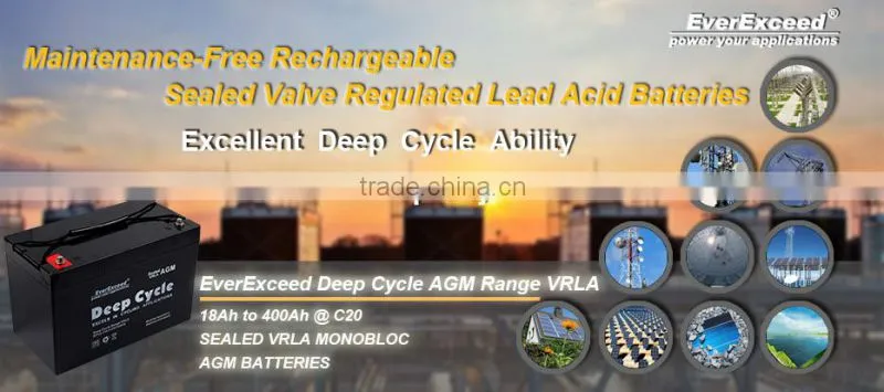 Everexceed deep cycle agm batteries 12V 35Ah DP-1235
