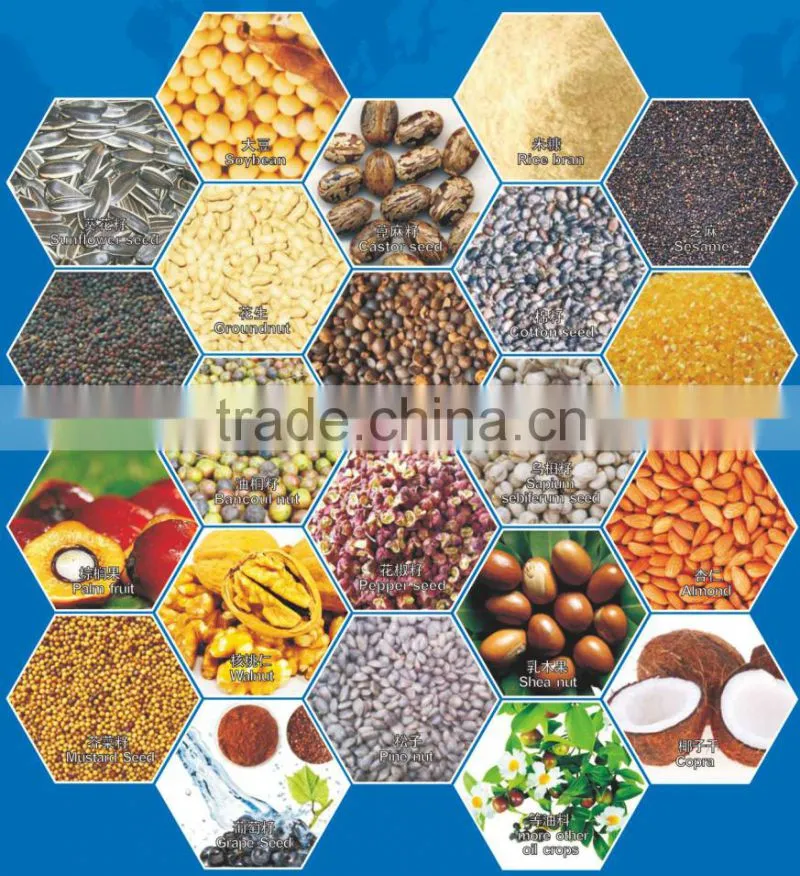 Factoty price sesame seeds oil extraction machine