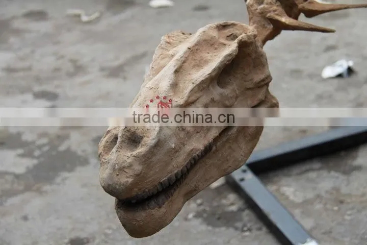 High Quality Simulated Dinosaur Skeleton Model Of Tuojiangosaurus