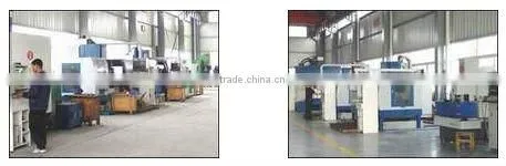 2 cavities pet bottle blow moulding machine