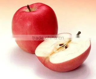 Instant Apple Powder