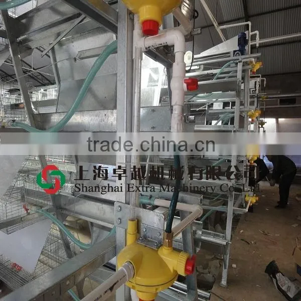 A-type cage for broiler and layer