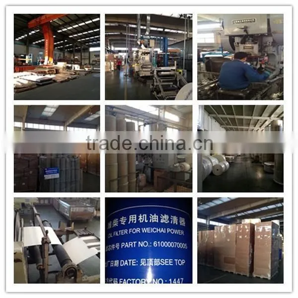high quality diesel in tank fuel filter