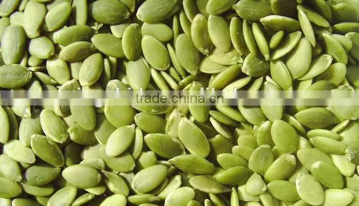 Competitive price~ 2015 new crop Shine Skin Pumpkin seeds,kernels