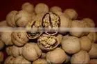 chinese dried walnut kernel for sale