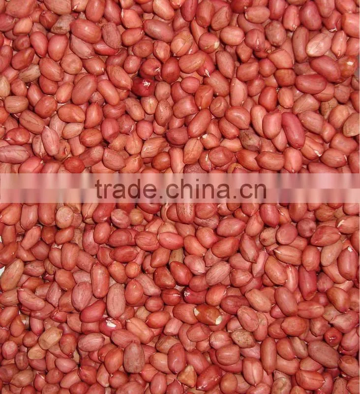 BEST QUALITY PURE FRESH RED PEANUT
