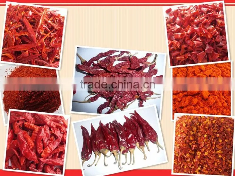 Exported dry red chilli threaded