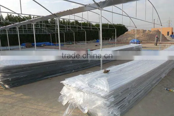 Multispan Greenhouse (Polycarbonate Valuview ROMA)