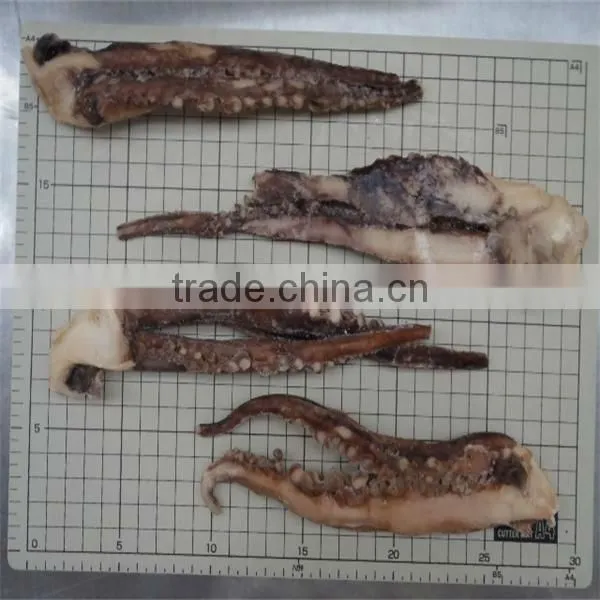 seafood and frozen cooked giant squid tentacle