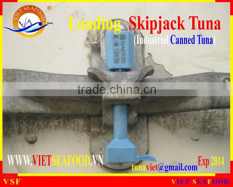 LOADING SKIPJACK TUNA W/R