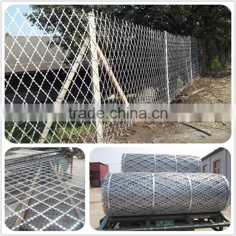 WEIHAO hot selling Standard Flat wrap and Concertina coil razor wire