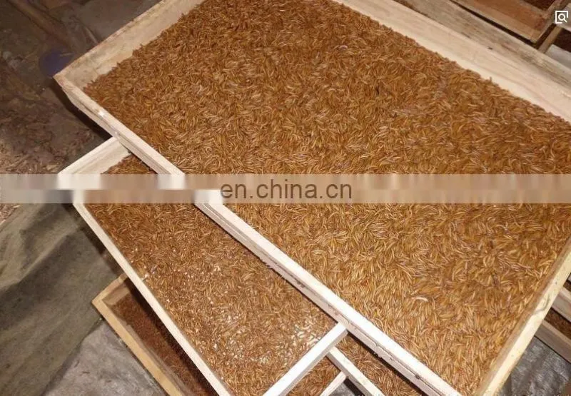 Multifunctional Mealworms Machine to Separate /Small Worm Tenebrio molitor Selecting Machine