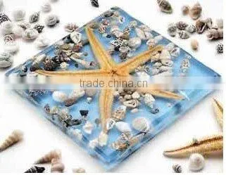 Various types of beautiful glass block