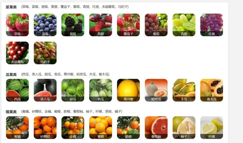 Fruit Washing Drying Waxing Grading Sorting Machine