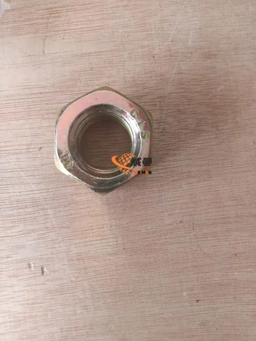 Screw nut 4013000020 1.jpg