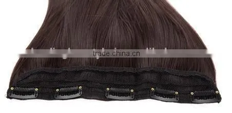 European 100% remy clip in human hair