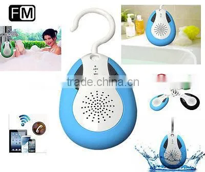 bluetooth speaker with fm radio ( NT-BTS19)