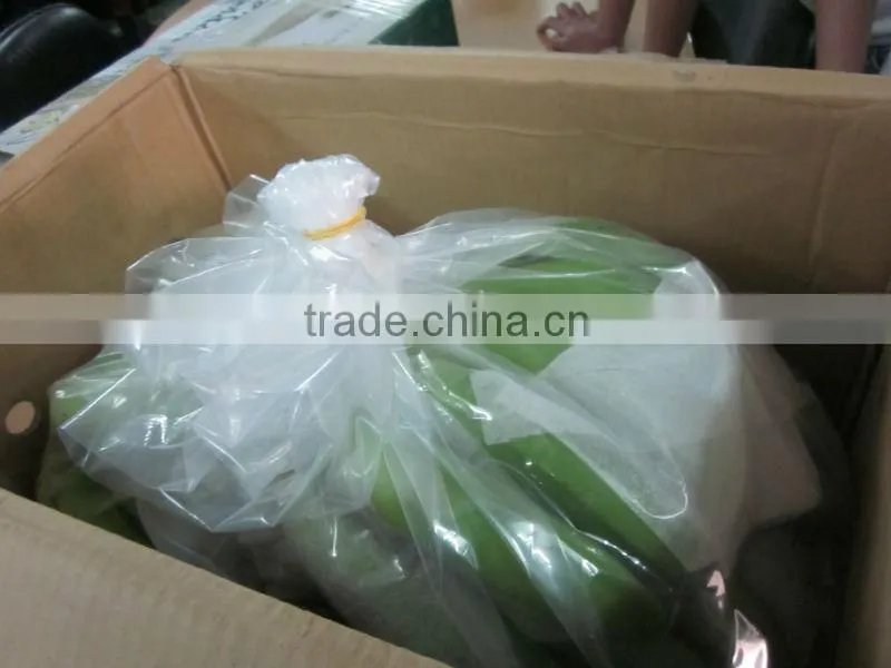 FRESH CAVENDISH BANANA IN VIETNAM