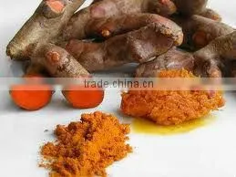 Turmeric Powder ( Dried Turmeric/ Turmeric powder)