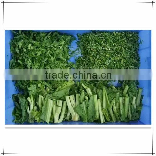 easy to operate automatic vegetable cutting machine for pumpkin cube cutting