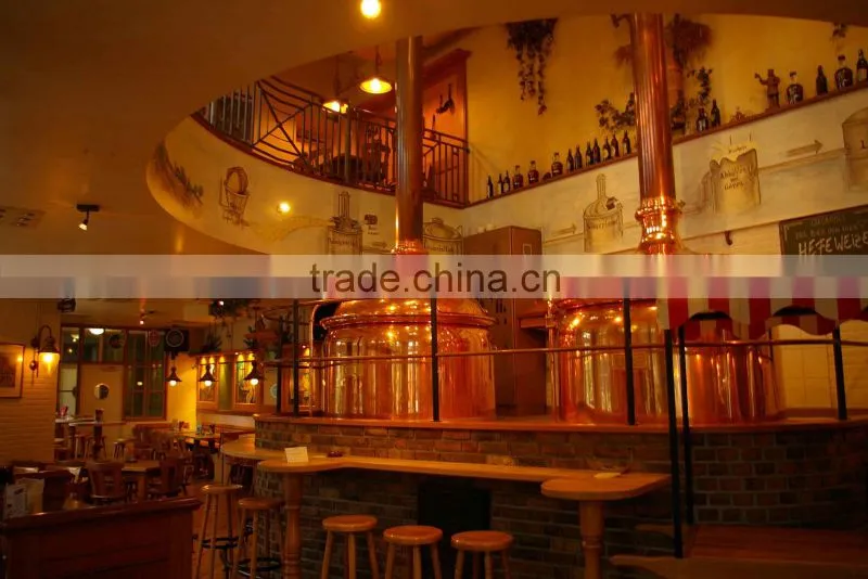 Smal bars brewery equipment, Promotional Beer brewery equipment, Double jacketed Beer Fermentation Tank