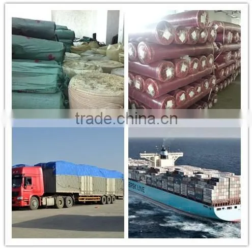 100%polyester pretty fabric winter terry wool fabric