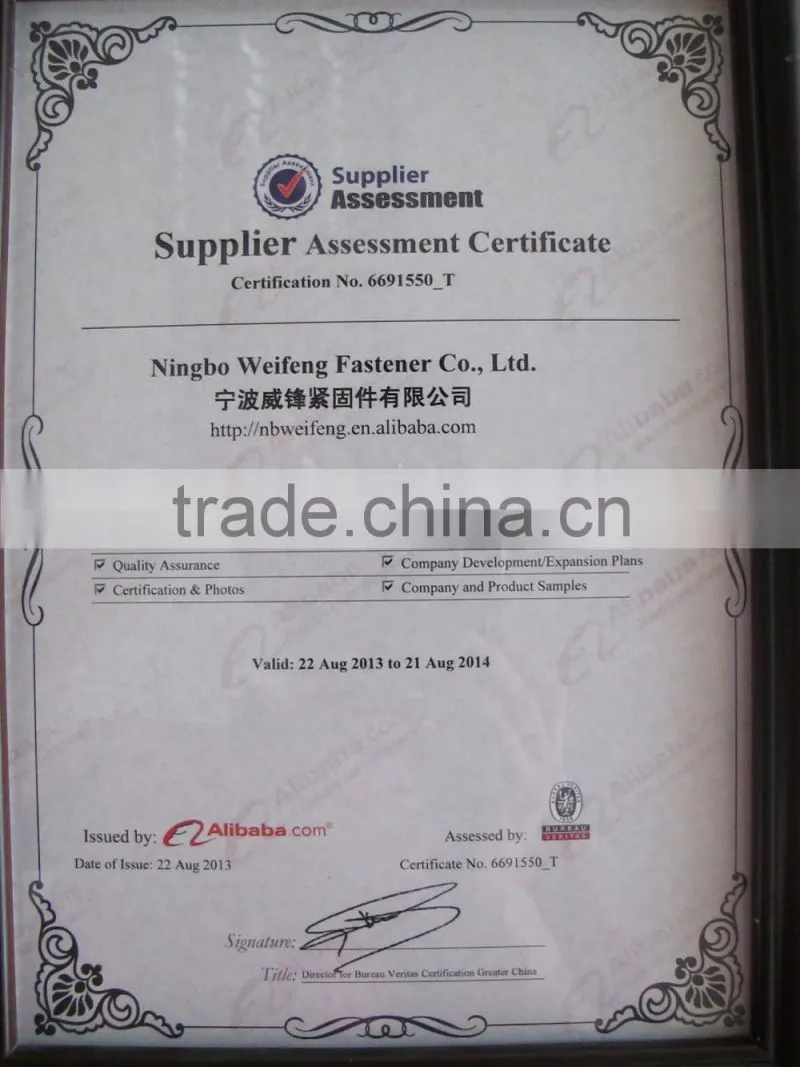 Ningbo WeiFeng high quality low price many kinds of fasteners anchor, screw, washer, nut ,bolt suction cup with screw