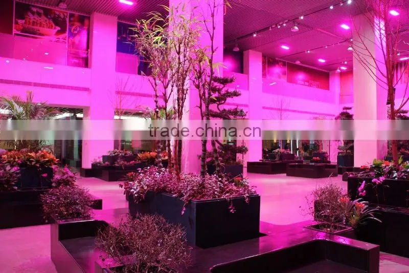 EN-Apollo 4-Led grow lights